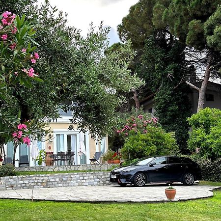 Villa Vasiliki PalaiónTsiflíkion エクステリア 写真