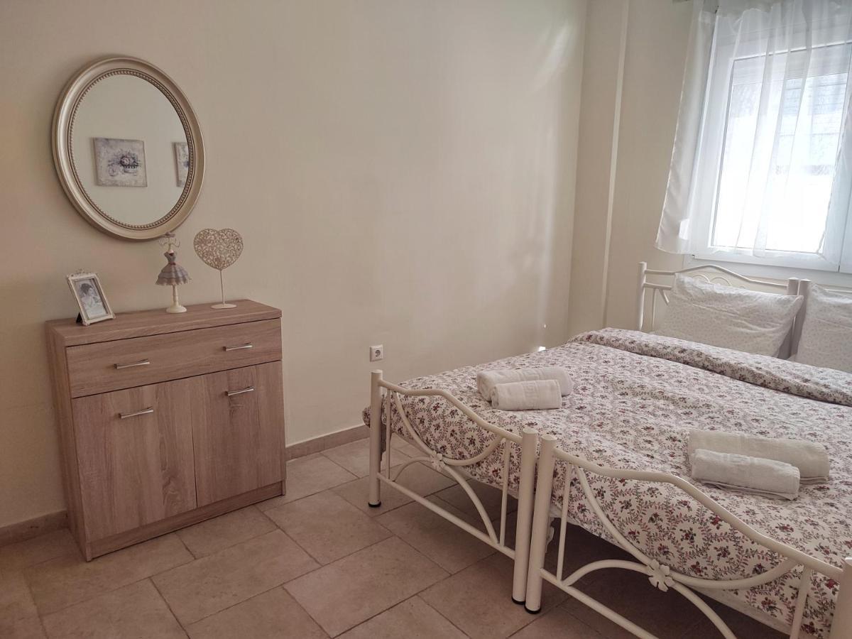 Villa Vasiliki PalaiónTsiflíkion エクステリア 写真