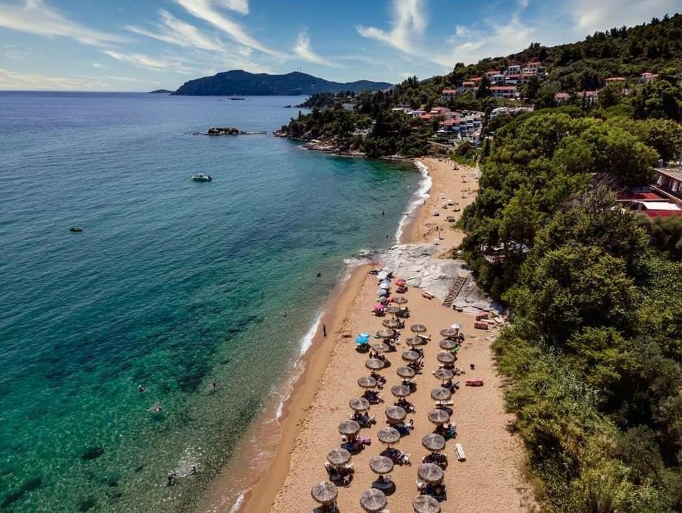 Villa Vasiliki PalaiónTsiflíkion エクステリア 写真