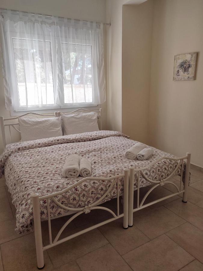 Villa Vasiliki PalaiónTsiflíkion エクステリア 写真